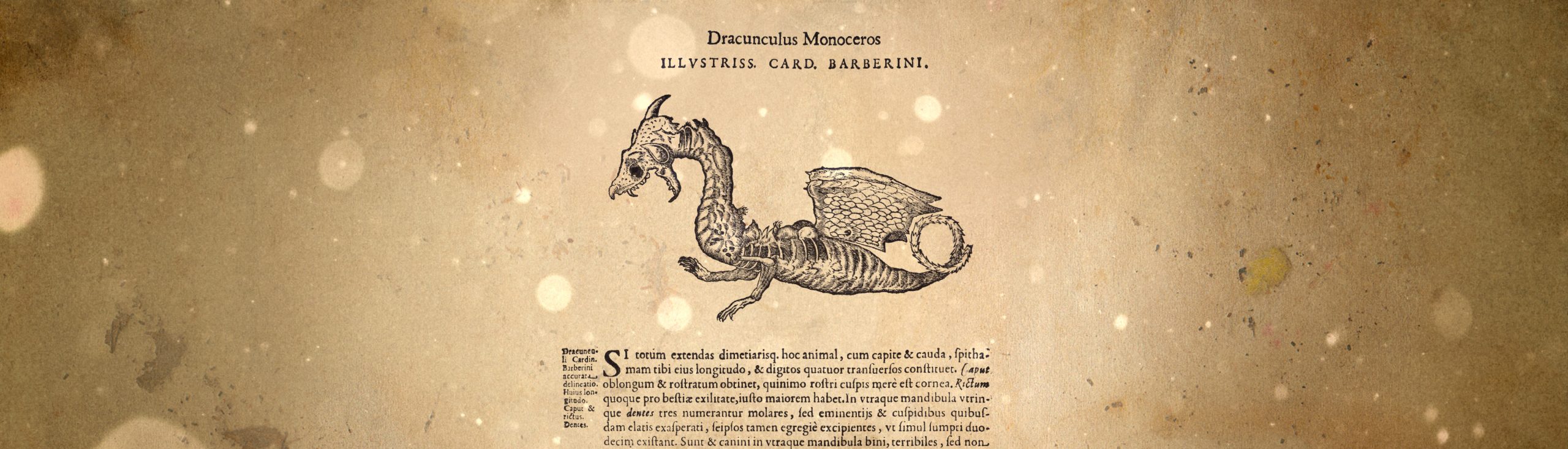 S4E25 The Dragon of Norton Fitzwarren with Lexx Education Loremen